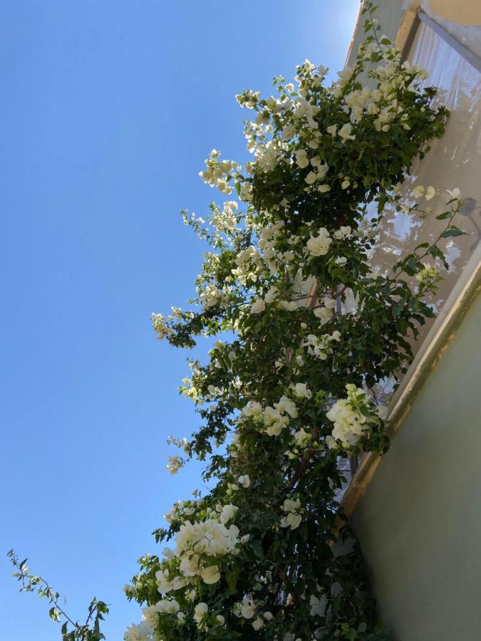 Simple Home Madaba Bagian luar foto